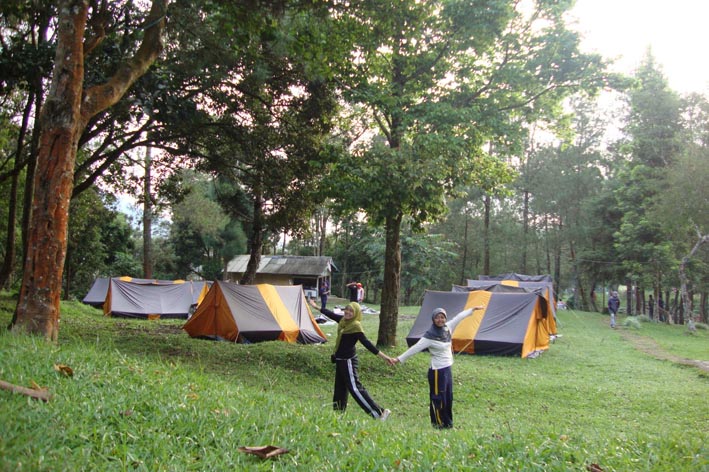 Tempat Camping di Mandalawangi Cibodas  Mandalawangi Cibodas
