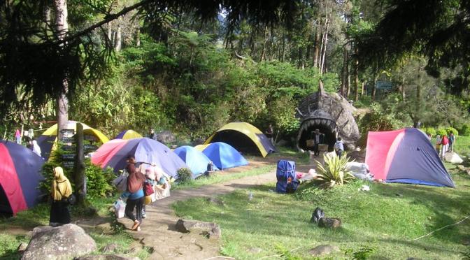 Camping Ground Mandalawangi Cibodas